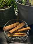 Organic Ceylon Cinnamon Bark