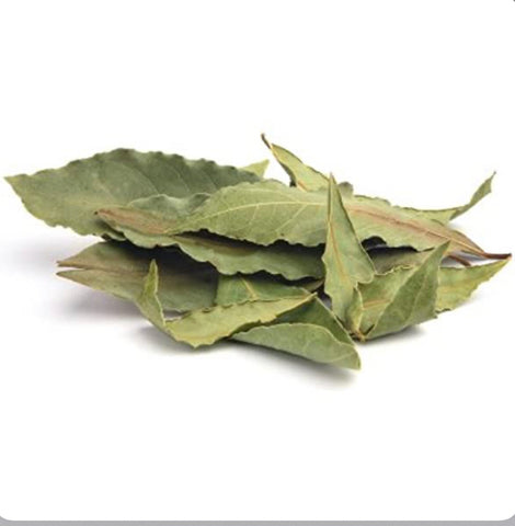 Organic Avocado Leaf